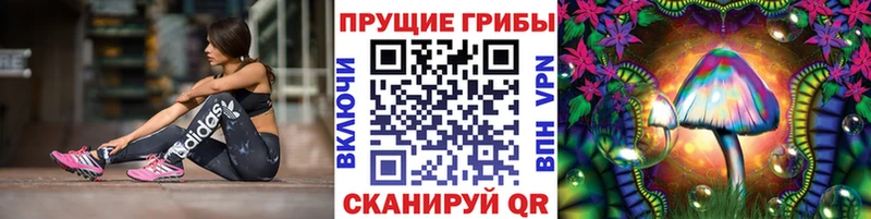 ссылка на мегу вход  Ялуторовск  Псилоцибиновые грибы ЛСД 